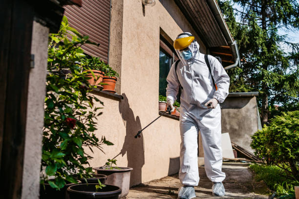 Best Local Pest Control Services  in Bayou La Batre, AL