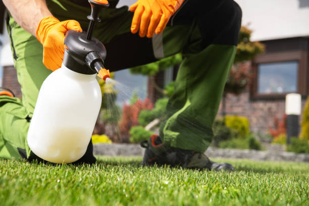 Best Affordable Pest Control Services  in Bayou La Batre, AL