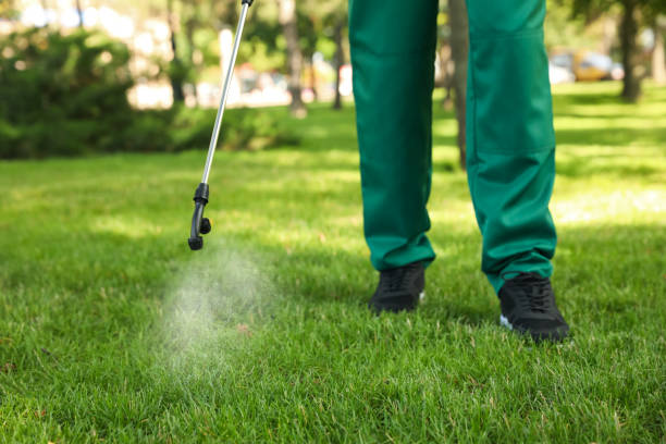 Best Best Pest Control Companies  in Bayou La Batre, AL