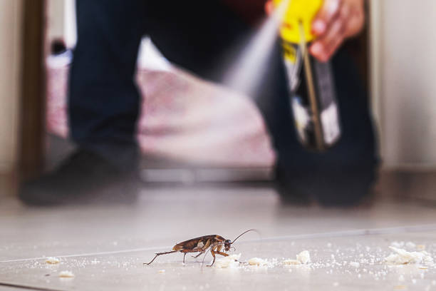 Best Best Pest Control Companies  in Bayou La Batre, AL