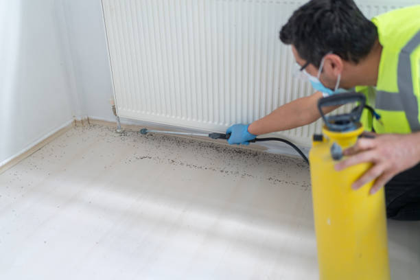 Best Bed Bug Extermination  in Bayou La Batre, AL